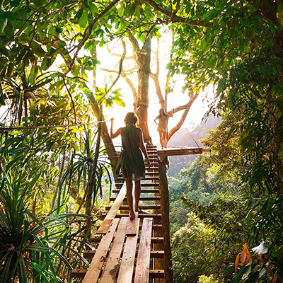 two women on a bridge in the jungle tree tops